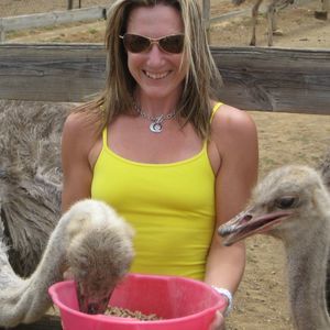 Meet your Posher, Susan